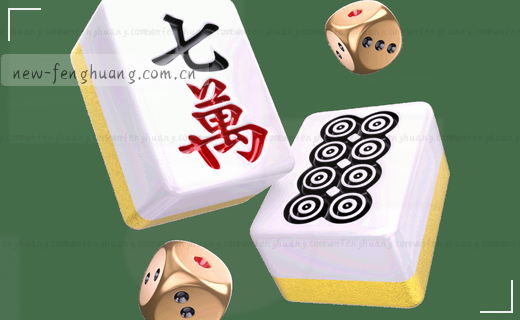 聚焦赛场，深度解读